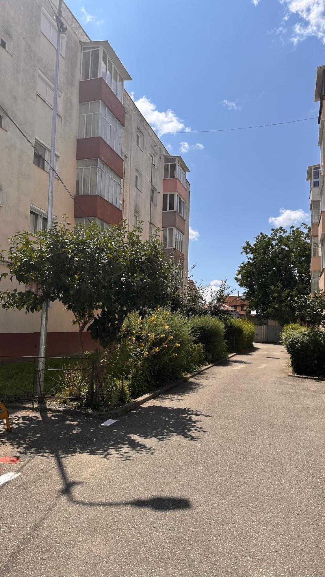 דירות Făgăraş Dream House מראה חיצוני תמונה